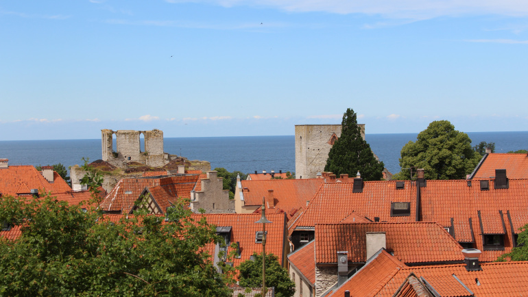 Unga Reumatiker i Almedalen