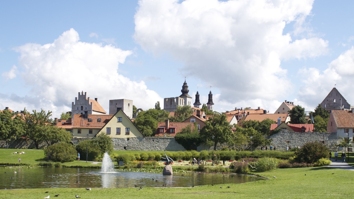 Unga Reumatiker i Almedalen