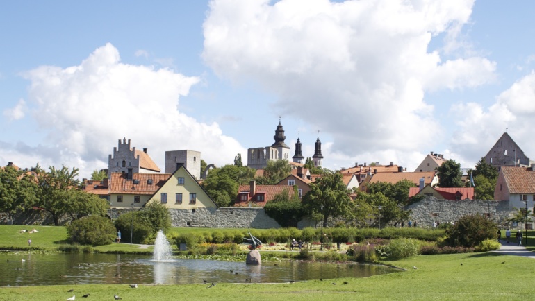 Unga Reumatiker i Almedalen