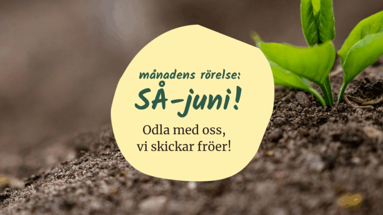 Häng med på Månadens rörelse och få fröer att plantera i juni